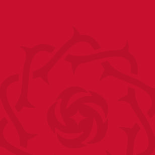 Portland Thorns customer support graphic.